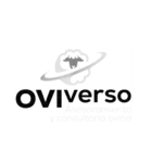 Estrategia de redes sociales Oviverso (7)